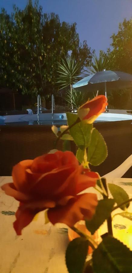 דירות צ'צ'ינה L'Isola Felice מראה חיצוני תמונה